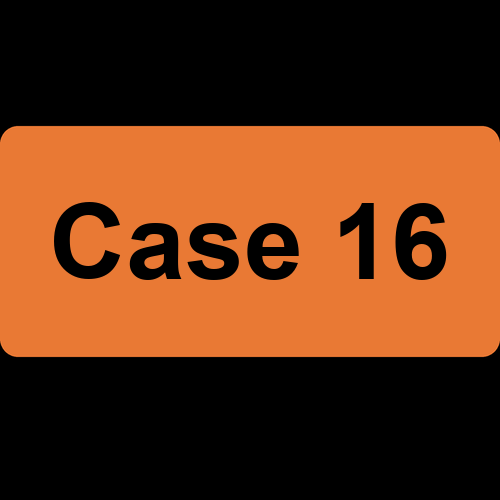 Case 16